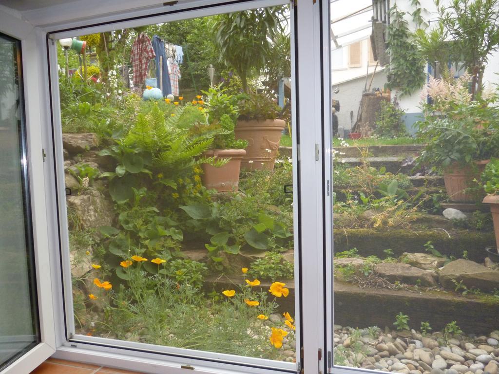 Appartement Frei