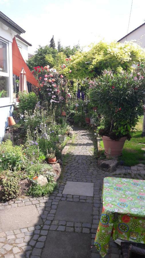 Appartement Frei *